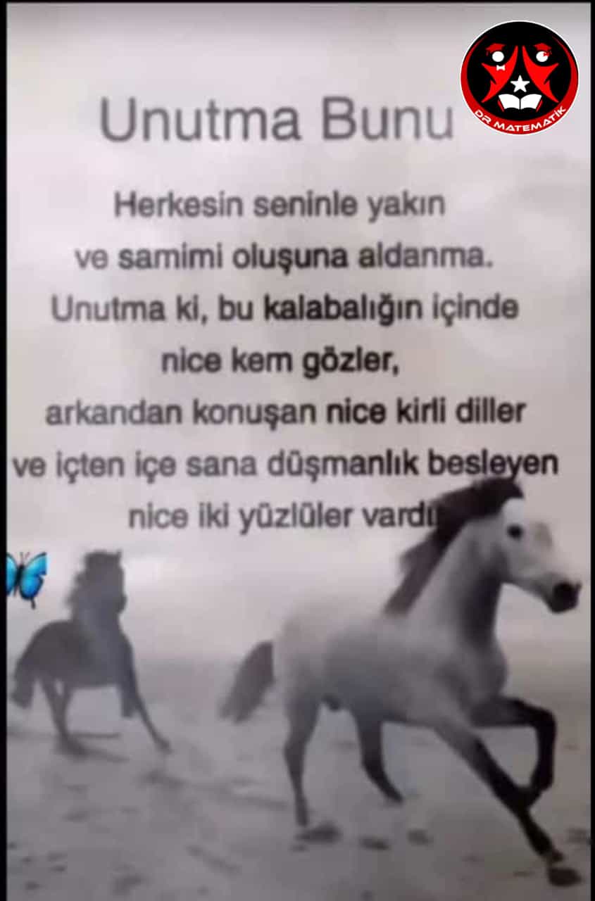 1 ekstralar (191).jpg